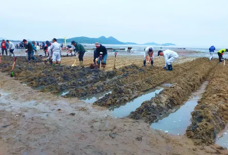 SETOUCHI