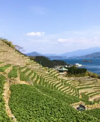 SETOUCHI