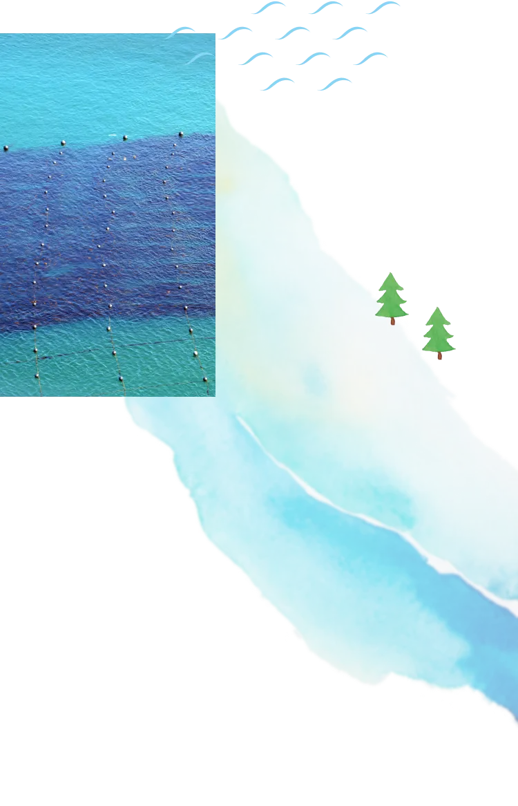 SETOUCHI