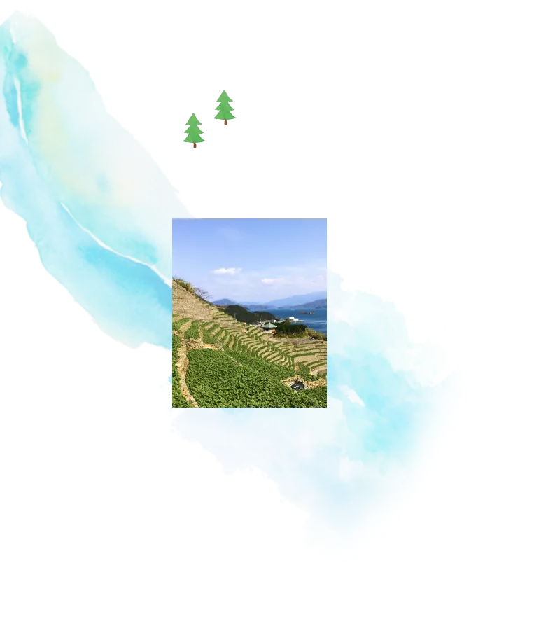 SETOUCHI