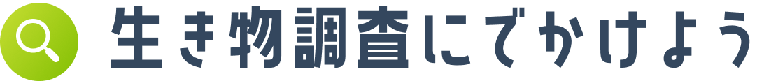 生き物調査にでかけよう
