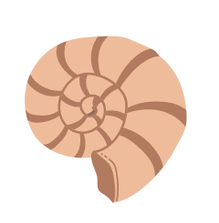 貝