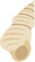 貝
