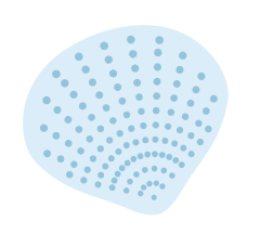 貝